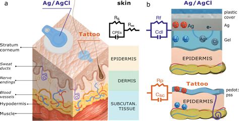 tattoo electrode circuit